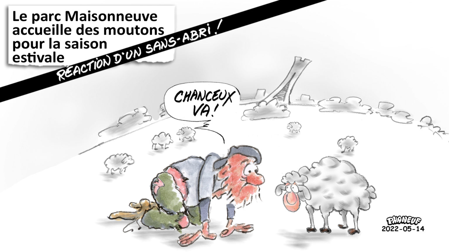 Caricatures .... - Page 9 2022-06-14-Des-moutons-au-parc-Maisonneuve-1536x864